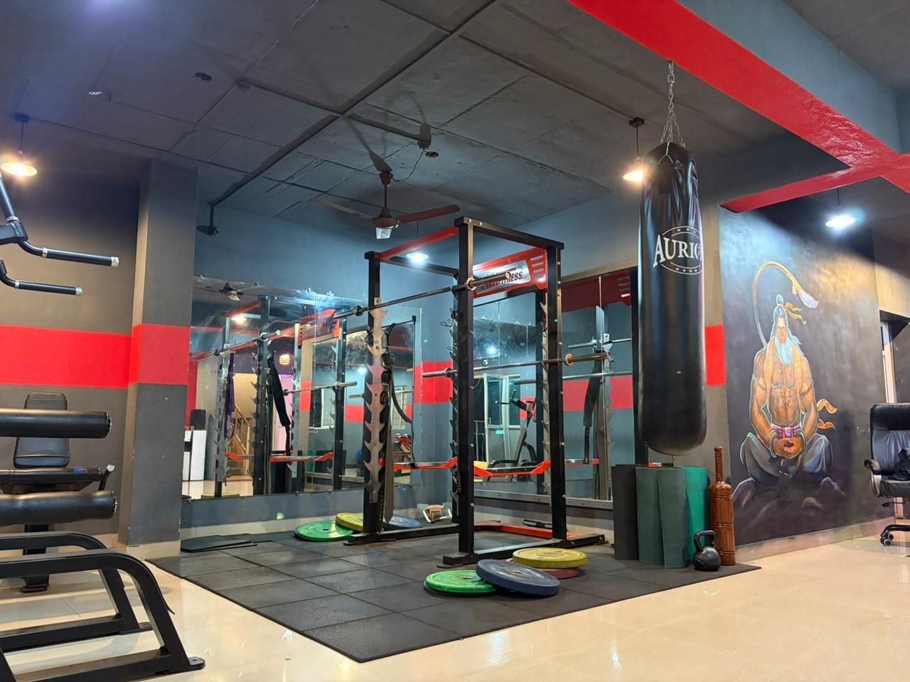 Lio-Fit Unisex Fitness Gym Free Weights Equipment in Ratnagiri